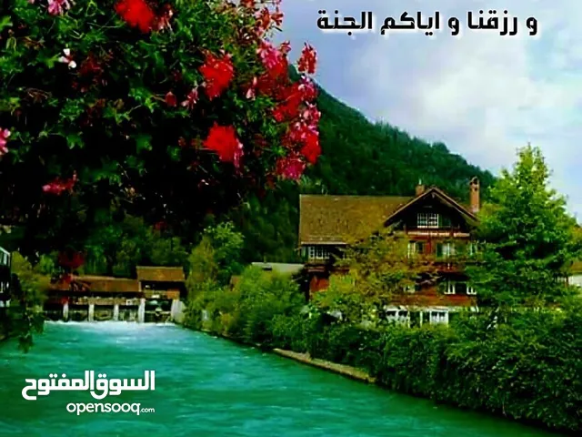 Mixed Use Land for Sale in Hebron Other