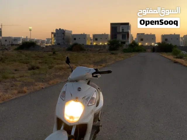 2024 Sym أخرى