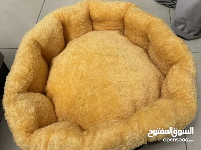 Bed cat for sale