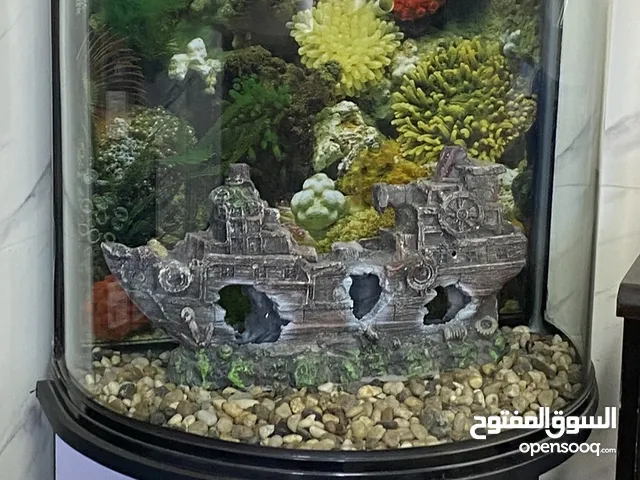 حوض  اسماك