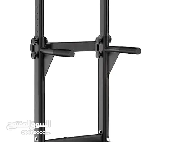 Pull-up & Dips Station