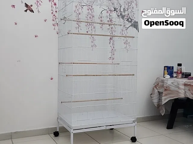 New big bird cage