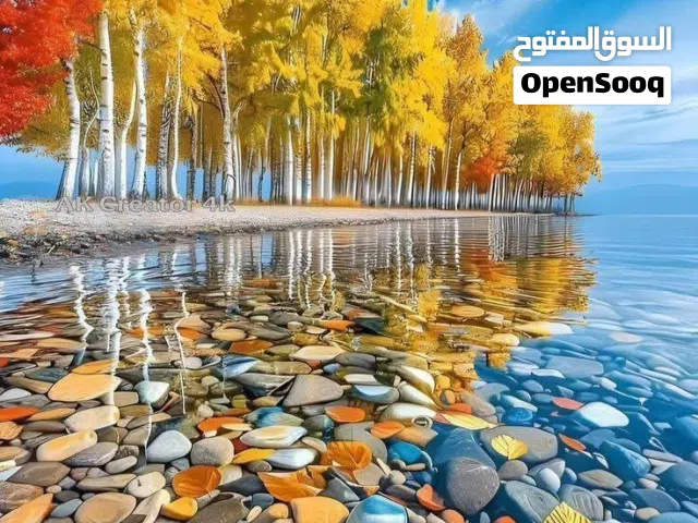 فتحتين كبار للايجار في الاصبحي ب160 الف15متر طول وعرض 10متر