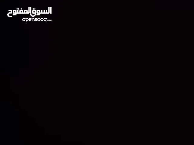 مطلوم فحل مكاوي زق داخل جرش