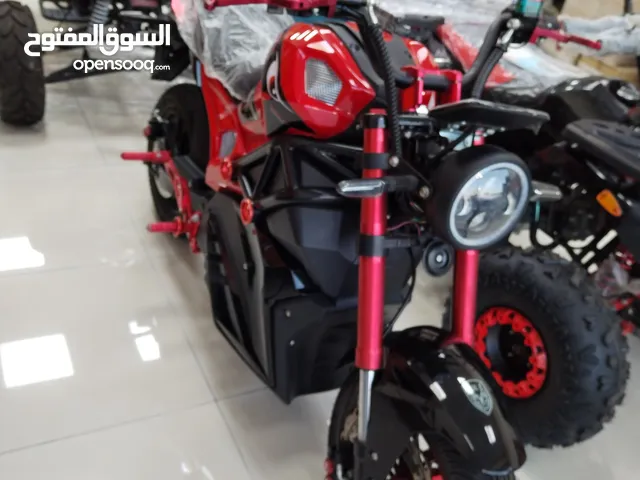Electronic Motorcycle