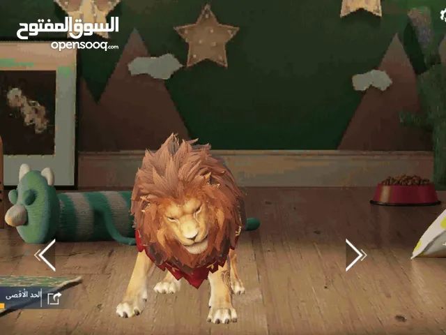 حساب ببجي رايق مثك فاشون واسكنات نادرة