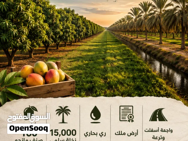 Farm Land for Sale in Ismailia Ismailia
