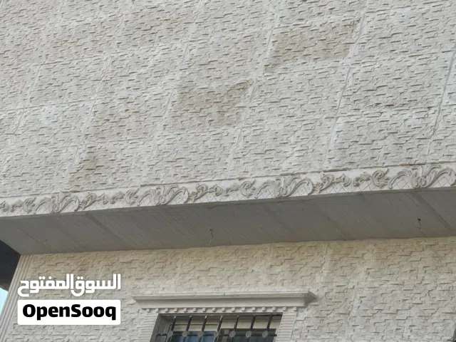 جبس فرنسي 13