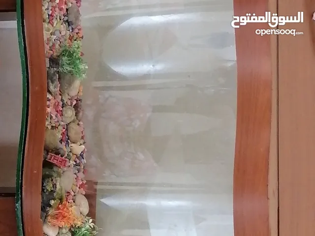 حوض سمك ....