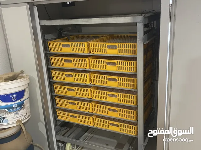 حضانة درجة اولي