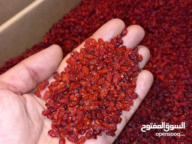 زرشک إيراني طازج – نوع دانه اناري