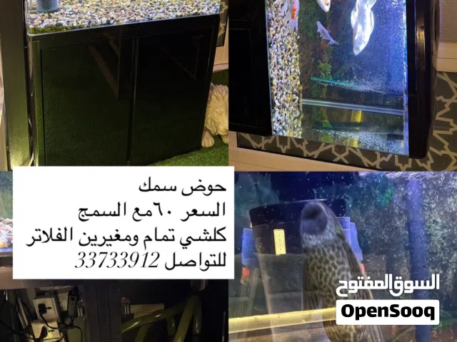 حوض سمك ممتاز وكبير