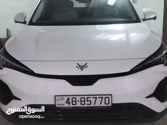 Used BAIC Other in Amman