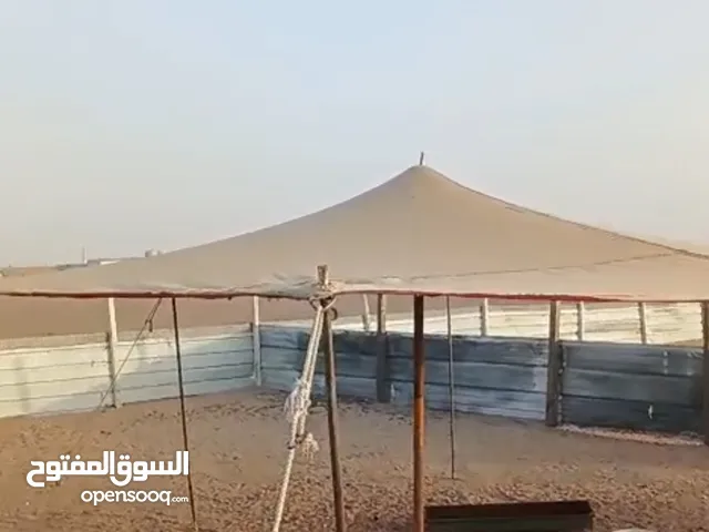 ظلال للحلال 6 / 6 كوري مستعمل ونظيف