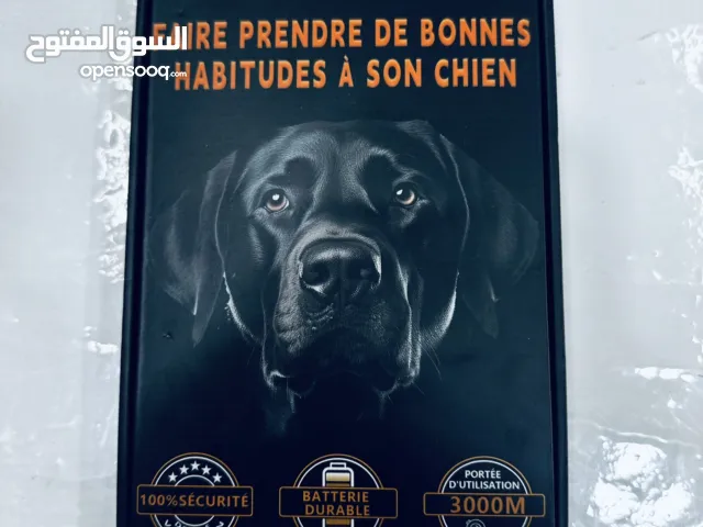 طوق كلاب جديد