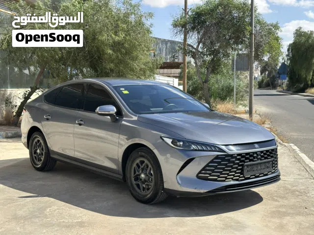 2025 بي واي دي ديستروير
