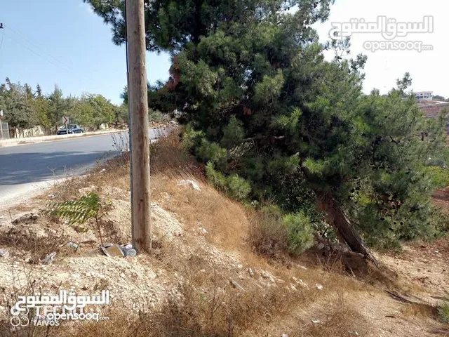Mixed Use Land for Sale in Ajloun A'fna