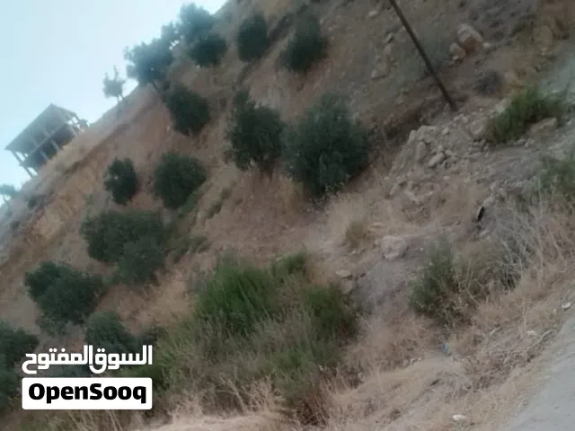 قطعتي ارض متلاصقتين في برما جرش للبيع