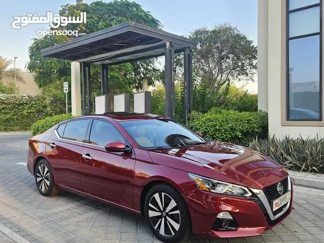 التيما SV فل اوبشن