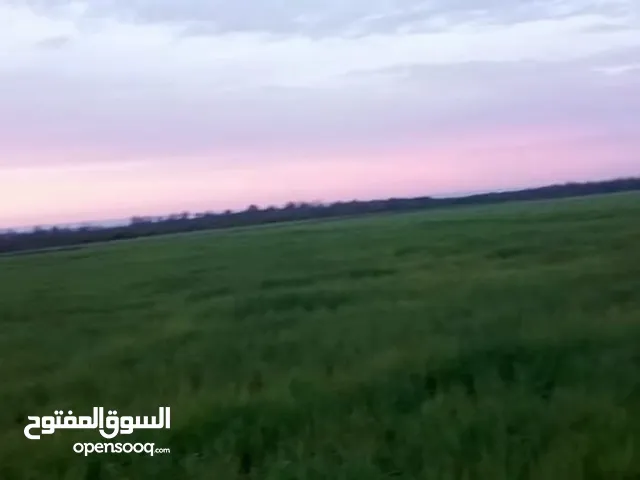 Mixed Use Land for Sale in Casablanca Route d'El Jadida
