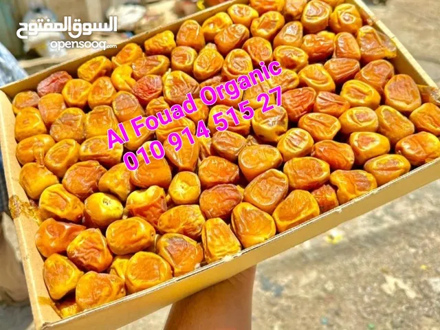 سكرى سعودى ملوكى القصيم