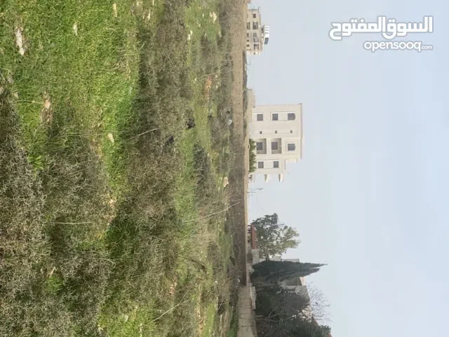 Commercial Land for Sale in Nablus New Nablus