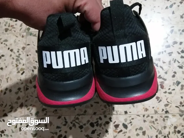 حذاء اصلي puma