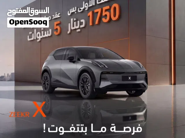 2024 Zeekr X