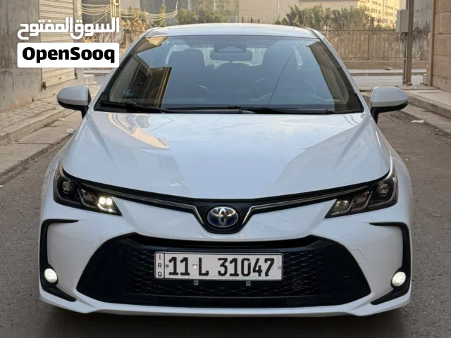 كورلا 2023 خليجي