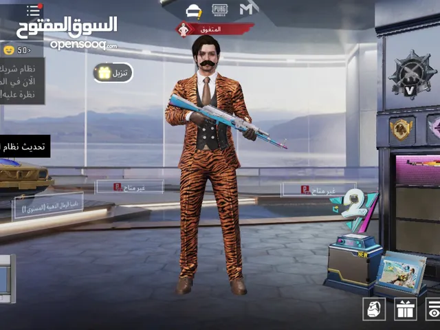 Pubg Accounts and Characters for Sale in Babylon