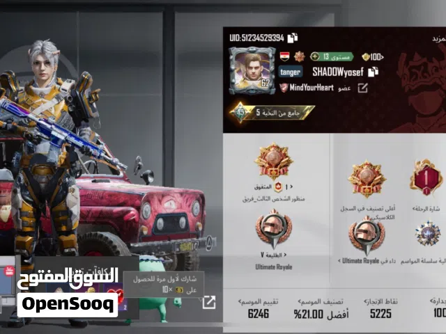Pubg Accounts and Characters for Sale in Tanta