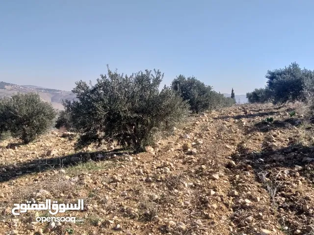 Mixed Use Land for Sale in Jerash Al-Mastaba