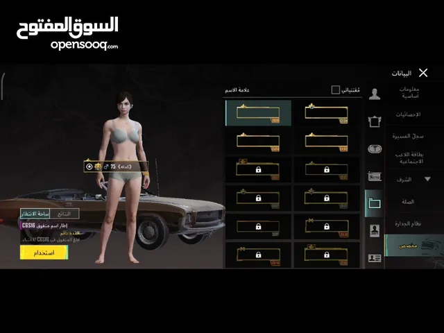 Pubg Accounts and Characters for Sale in Al Khums