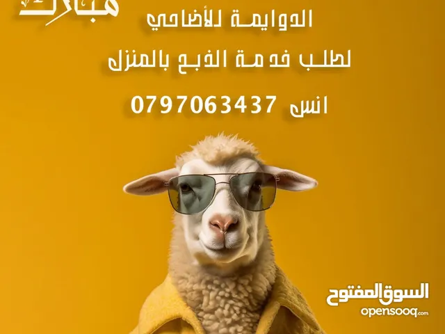 ذبح اضاحي بالمنزل