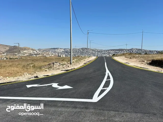 ارض طابو جنسينا