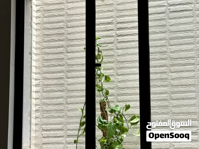 بيت للبيع جديد درجه اولى طابو صرف الاكوات الثالثه مقابيل النرجس