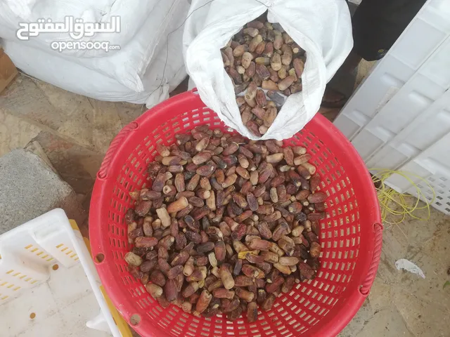 تمر حيوانات