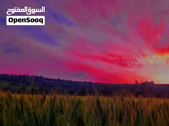 Mixed Use Land for Sale in Ajloun Kuforanja