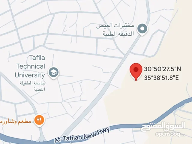 Residential Land for Sale in Tafila Al-Ayes