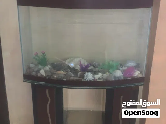 حوض اسماك كبير وجميع مع جميع اكسسواراته بـ حجم جداً معقول طول متر وعرض 60سم تقريبا