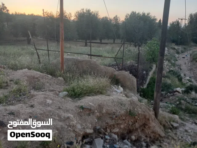 ارض للبيع في عين الباشا  مساحتها 500متر مربع قوشان مستقل