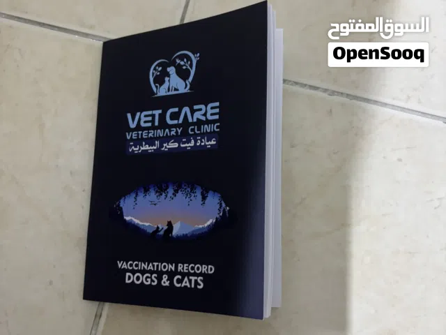 تشيز العمر أربع سنوات معا جواز