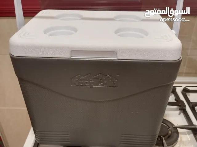 icebox cosmoplast 24l