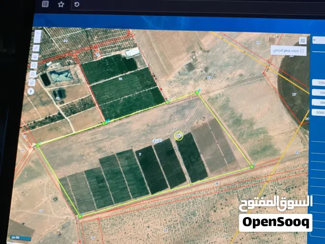 Farm Land for Sale in Zarqa Azraq