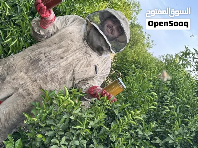 عسل نحل بلدي من منحلي مكفول ................................................ .......................