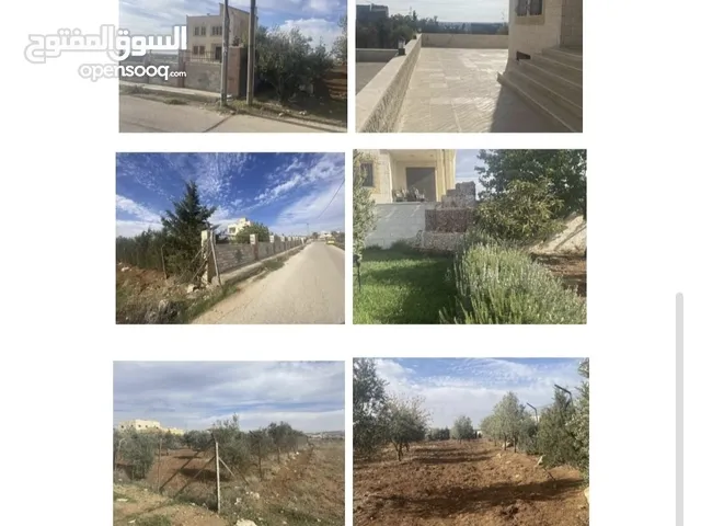 Farm Land for Sale in Madaba Al-Faisaliyyah