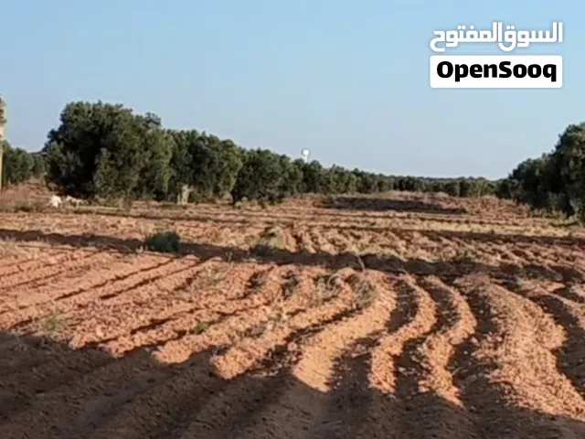 Farm Land for Sale in Sfax Other