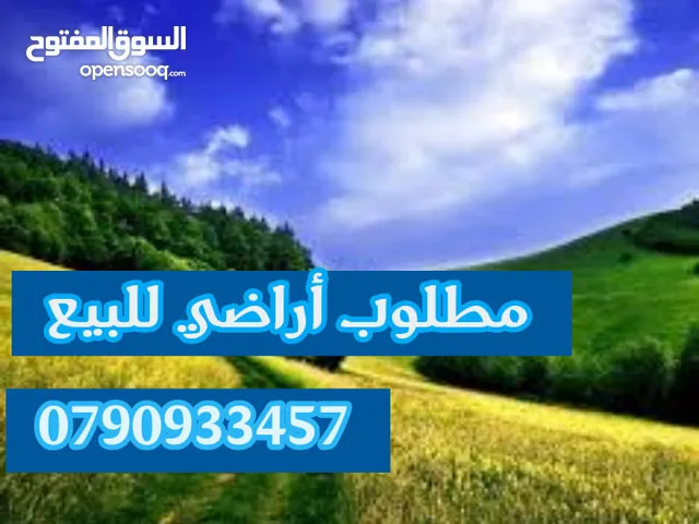 مطلوب أراضي للشراء في عمان والبحر الميت والغور والزرقاء