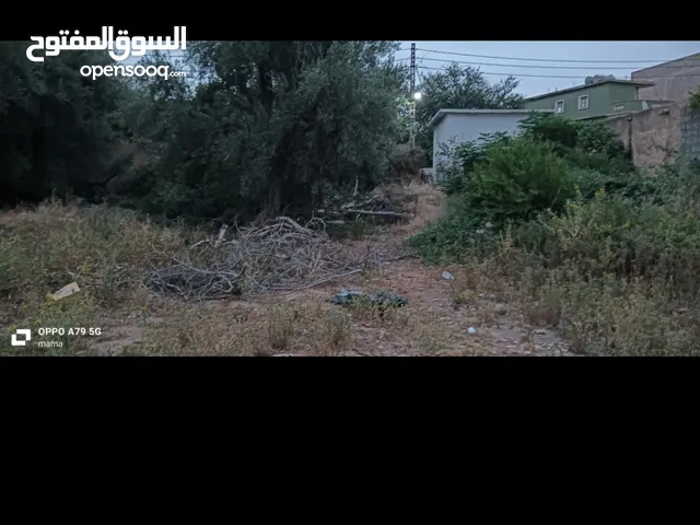 درا دراهم 2025