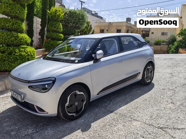 2025 دونج فينج نامي بوكس